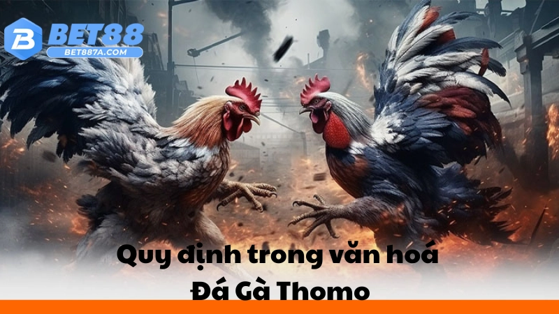 Quy định trong văn hoá Đá Gà Thomo